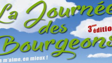 La journée des Bourgeons - Dimanche 17 avril, parc du Pré aux Chats - Vendôme 4 Bourgeons affiche jdb16 bandeau