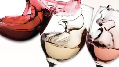 Les Goûteux d’vins tiennent salon 1 Salon des Vins ; Salon des Vins de France et de la Gastronomie ; Chahaignes ; Goûteux d’vins