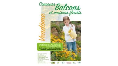 maisons et balcons fleuris