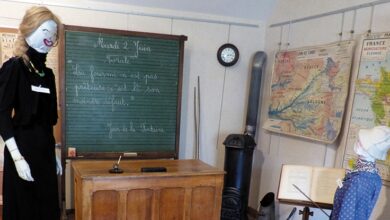 rythmes scolaires ; activités périscolaires