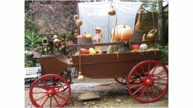Fête de l’automne au Hameau de Rochambeau - dimanche 11 octobre 13 Fete automne rochambeau