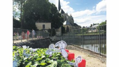 Des jardins miniatures 15 JardinsMiniatures
