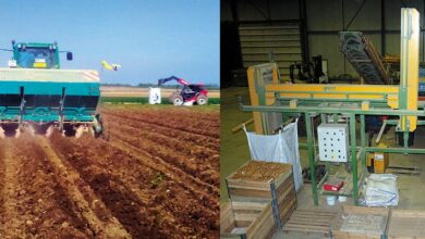 La Jardinière, fleuron de la pomme-de-terre percheronne 1 LaJardiniereDroue