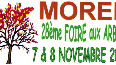 28e foire aux arbres à Morée Samedi 7 et dimanche 8 novembre 8 Moree foire aux arbres