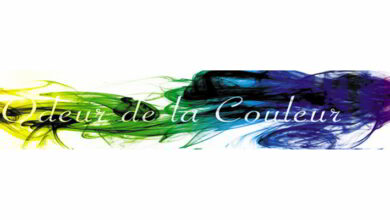 Les ateliers d’artistes du Loir-et-Cher ouvrent leurs portes les 5, 6 et 7 juin 1 Odeur de la couleur