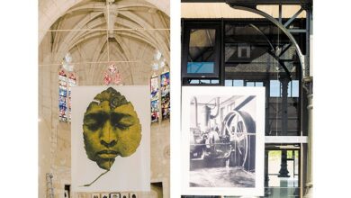 Vendôme sous le signe du 8e Art 13e édition : «Qui est photographe» ? Promenades à travers la photographie. 6 Promenades photos 2017