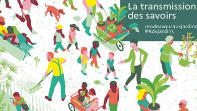 Rendez-vous aux jardins les 4, 5 et 6 juin 13 RDV21 Visuel