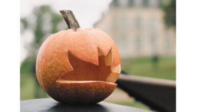 Fête des cucurbitacées, à Rochambeau le 15 octobre 19 Rochambeau citrouille