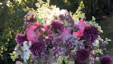 affiche bouquet 1