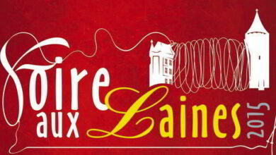 Foire aux laines Châteaudun - Les 3, 4 et 5 juillet 2015 3 affiche chateaudun foire aux laines bandeau