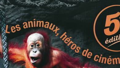 Cloyes-sur-le-Loir (28) Festival du film du 18 au 20 septembre 11 affiche cloyes festival2015 bandeau