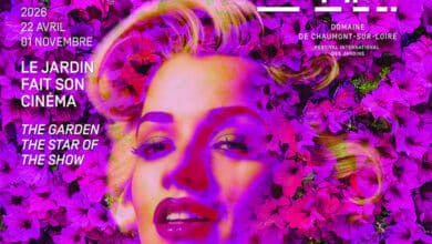 affiche festival chaumont 2