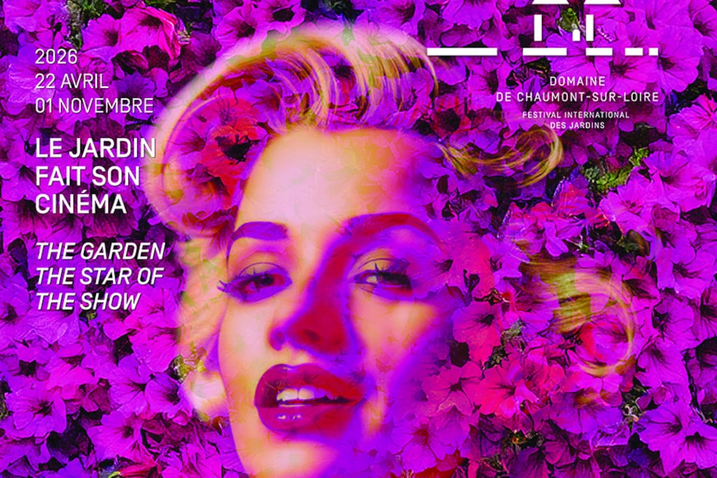 affiche festival chaumont 2