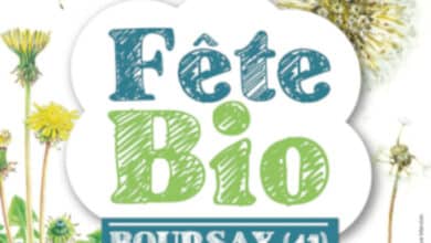 affiche fete bio 2022 pissenlit avant