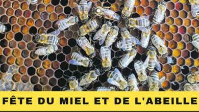 Les abeilles et le miel en juin 4 affiche fete du miel