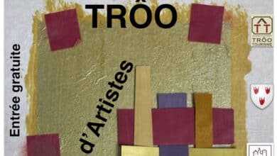 Vide-atelier d’artistes à Trôo 6 affiche vide atelier 2022 troo nov 22 avant