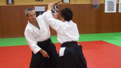 aikido sport 890x335 1