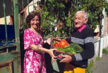 Alain livre ses légumes aux Tourangeaux depuis 40 ans 4 Alain livre ses légumes
aux Tourangeaux depuis 40 ans
