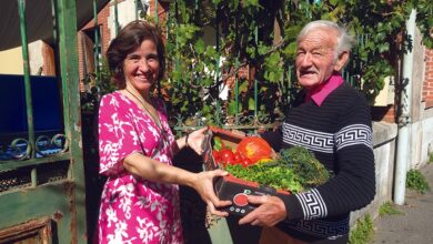 Alain livre ses légumes aux Tourangeaux depuis 40 ans 2 Alain livre ses légumes
aux Tourangeaux depuis 40 ans