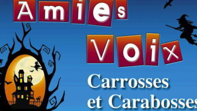 «Amies Voix» dans les Collines du Perche 1 amies voix 2015 bandeau