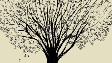 Conférence l'arbre et le territoire 13 Syndicat du Pays Vendômois