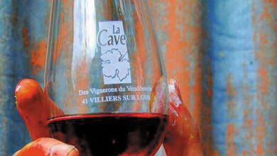 Culture et viticulture à Villiers-sur-Loir et à Thoré-la-Rochette du 25 au 28 mai 15 viticulture