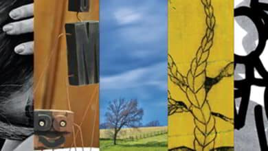 assemblage expo