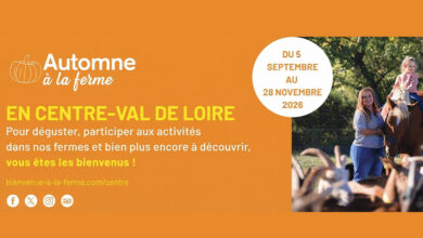 Automne à la ferme 3 automne a la ferme featured1