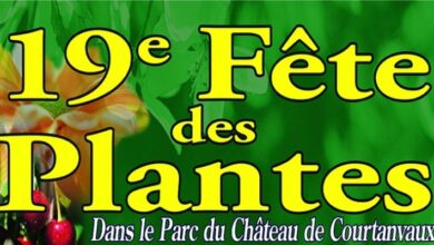 « Courtanvaux côté jardin » 2017 1 Courtanvaux côté jardin