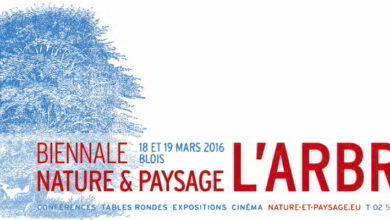 Biennale «Nature et paysage» à Blois : l’Arbre 7 biennale nature et paysages blois