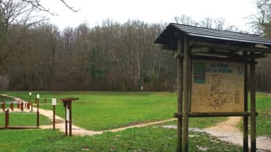 bientot un kiosque sera concu au bois de loratoire 1