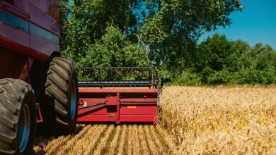 Bilan de la moisson en Loir-et-Cher 3 Bilan de la moisson en Loir-et-Cher