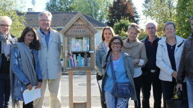 boîtes à livres