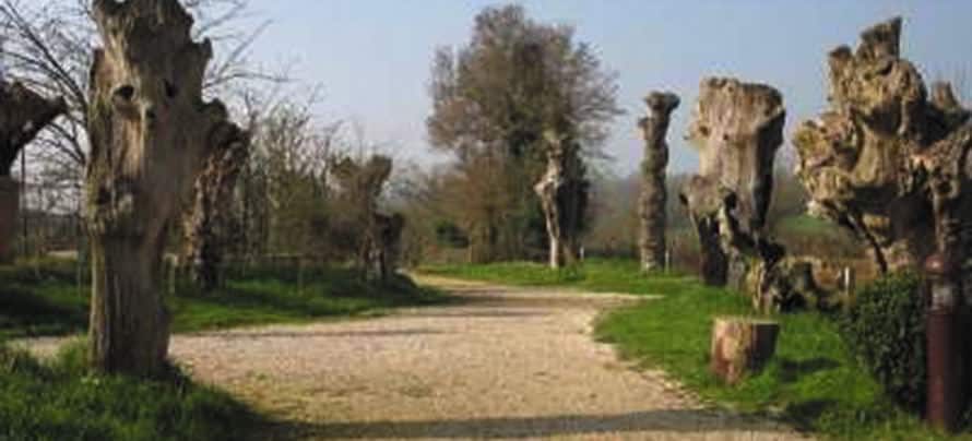 Les trois chemins, depuis la Maison Botanique, 1 seul chemin pour 3 regards. 1 boursay chemin des trognes