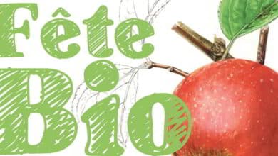 Le bio en fête à Boursay 9 boursay fete