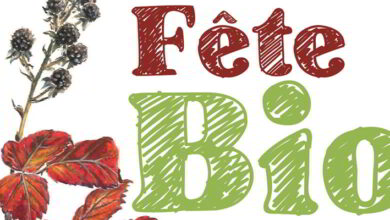 boursay fete bio