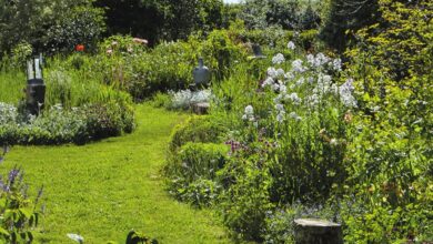 Garden Party, exposition bucolique à Boursay 5 boursay garden party juin 22 avant