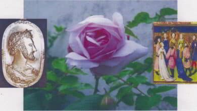 La rose dans tous ses états 5 cercle des poetes