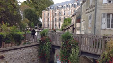 Ces grandes plumes trempées dans le Loir