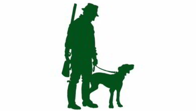 Ouverture de la saison de chasse 2015-2016 10 chasse 2015