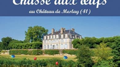 chateau de meslay avant