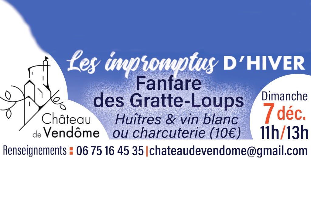 Les Impromptus d’hiver au Château 1 chateau de vendome nov 25 copie 1