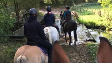 chevaux balade