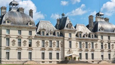 15e Fête des plantes à Cheverny : 25 et 26 mars 2017 4 Fête des plantes