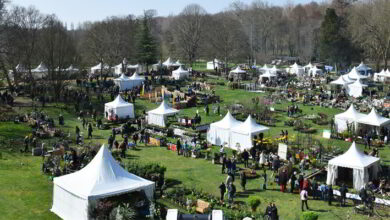 Cheverny fête les plantes 6 fête des plantes ; Cheverny