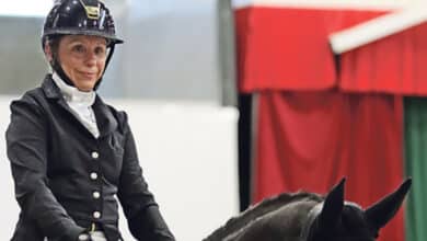 chrystelle et son cheval avant