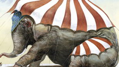 Animaux de cirque : le code a changé 16 Stop Cirque 37 ; Code animal