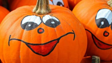 Il est venu le temps des citrouilles et des esprits farceurs 20 Halloween ; cucurbitacées ; citrouilles