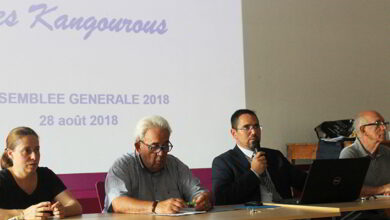 Les Kangourous ; USV Gymnastique
