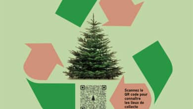 Collecte et recyclage des sapins 13 collecte sapins affiche 3